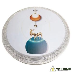 Đèn Ốp Trần DO0007