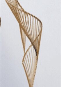 Décor Trang Trí DTT0112