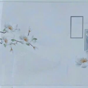Gạch FPH 3621D trắng trơn 30x60 điểm