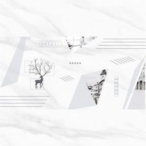 Gạch 8801 30x60 thân