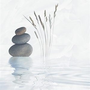 Gạch 7917 30x60 ĐIỂM