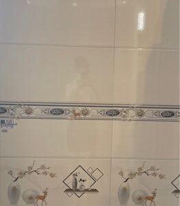 GẠCH Men G36000SLE 30x60 Viền