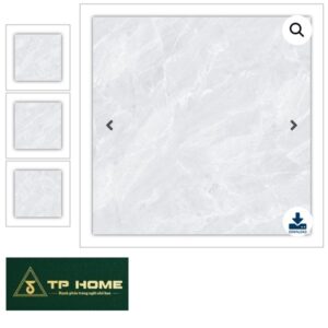 Gạch EF89006R 80x80
