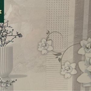 GẠCH 3972 30x60 ĐIỂM