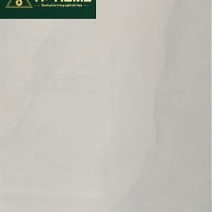 Gạch ốp tường 40x80 4283