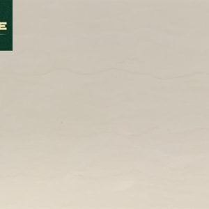 Gạch 4894 40x80 nhạt