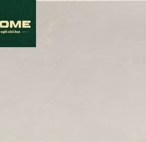 Gạch 4323 40x80 nhạt