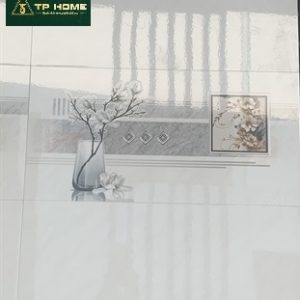 Gạch 2058 30x60 viền