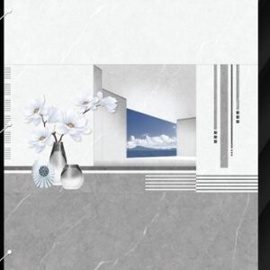 Gạch 3640 30x60 đậm