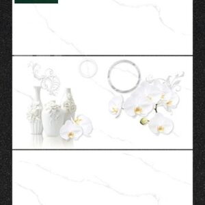 Gạch 8007D 30x60 điểm