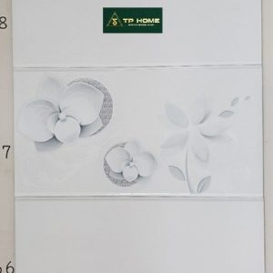 Gạch 3068 30x60 viền
