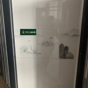 Gạch ốp tường 4806D 40x80 điểm