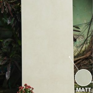 Gạch 61432006 60x120 Matt
