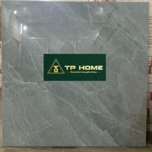 Gạch 8908N 80x80