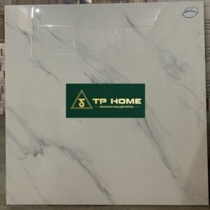 Gạch 8902N 80x80