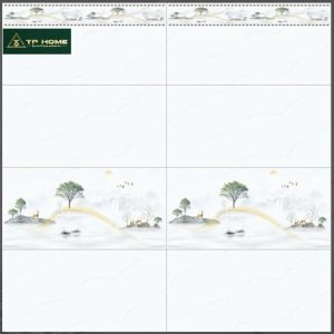 Gạch 3602D 30x60 điểm