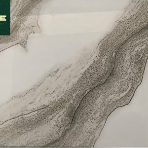 Gạch 4809 40x80
