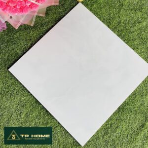 Gạch 6002 60x60