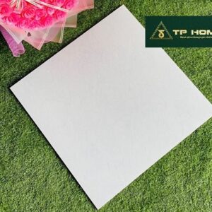 Gạch 6019HP 60x60