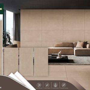 Gạch 0601200020N 60x120 Matt