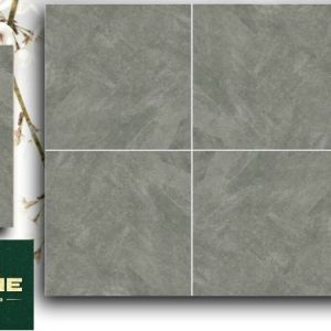Gạch 668MDD 60x60