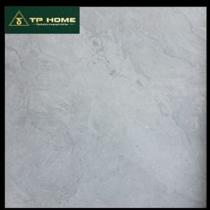 Gạch 11081 100x100