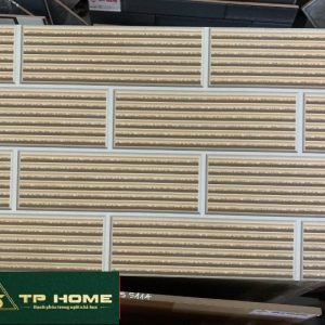 Gạch trang trí 35020 30x45 (7v/t)