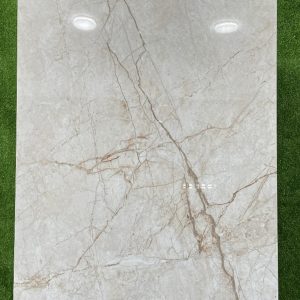 Gạch SG6222 60x120 Glossy