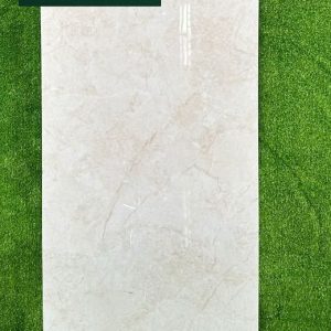 Gạch SG6205 60x120 Glossy