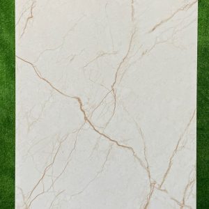 Gạch SC6294 60x120 Carving