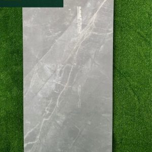 Gạch SG6206 60x120 Glossy