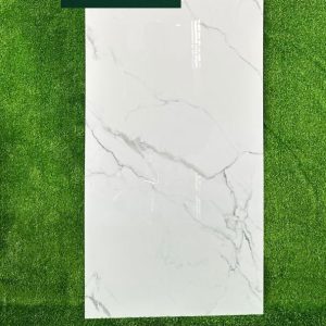 Gạch SG6213 60x120 Glossy
